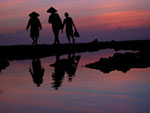 fishers at the beach