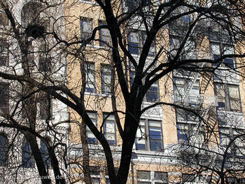 55 nyc06_uweE19605.jpg