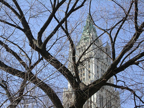 59 nyc06_uweE19629.jpg