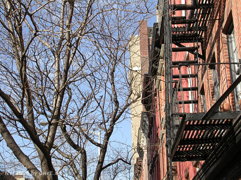 79 nyc06_uweE19730.jpg