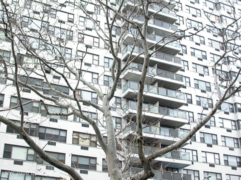 134 nyc06_uweE19958.jpg