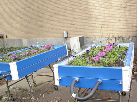 171 nyc06_uweE20100.jpg