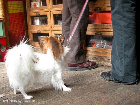 173 nyc06_uweE20114.jpg