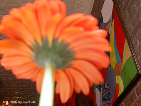 175 nyc06_uweE20117.jpg