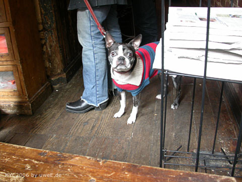 176 nyc06_uweE20118.jpg