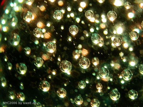 203 nyc06_uweE20223.jpg